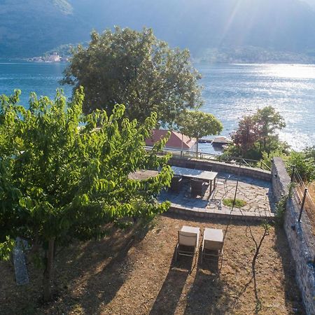 Villa Biskupovic With Stunning Views Κότορ Εξωτερικό φωτογραφία