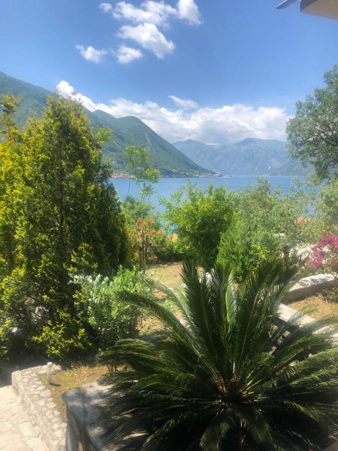 Villa Biskupovic With Stunning Views Κότορ Εξωτερικό φωτογραφία