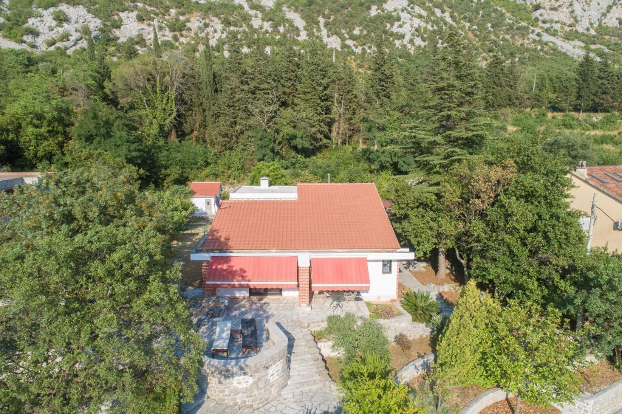 Villa Biskupovic With Stunning Views Κότορ Εξωτερικό φωτογραφία